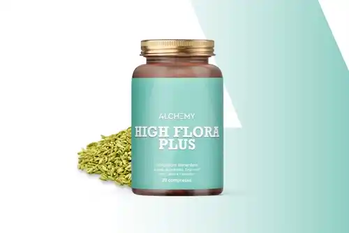 HIGH FLORA plus